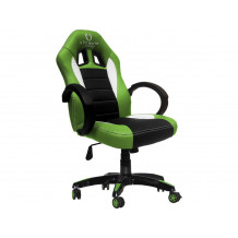 Cadeira Ultimate Gaming Taurus Verde, Preto e Branco