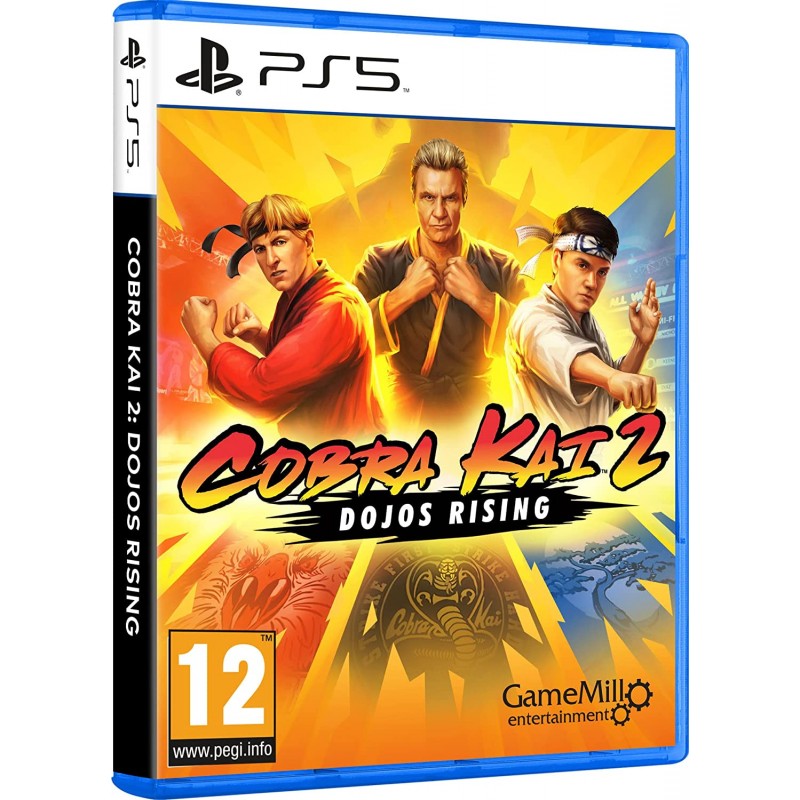 Cobra Kai 2 Dojos Rising Cobra Kai 2 Dojos Rising