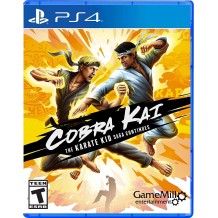 Cobra Kai Karate Kid Saga Continues PS4