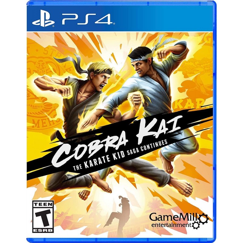 Cobra Kai Karate Kid Saga Continues PS4