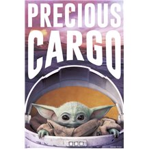 Poster Star Wars The Mandalorian Precious Cargo