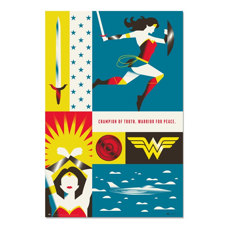 Poster Wonder Woman 100 Aniversario Wb Poster Wonder Woman 100 Aniversario Wb