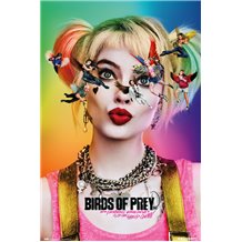 Poster Birds Of Prey Dazed And Confused