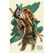 Poster The Legend Of Zelda Tears Of The Kingdom Link