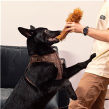 Mordedor para Cão - Star Wars: Chewbacca (Com Som)