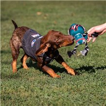 Casaco de Ganga para Cão - Star Wars