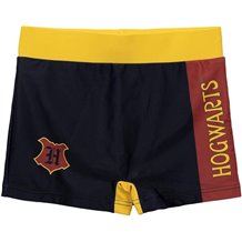 Boxer Banho Infantil - Harry Potter